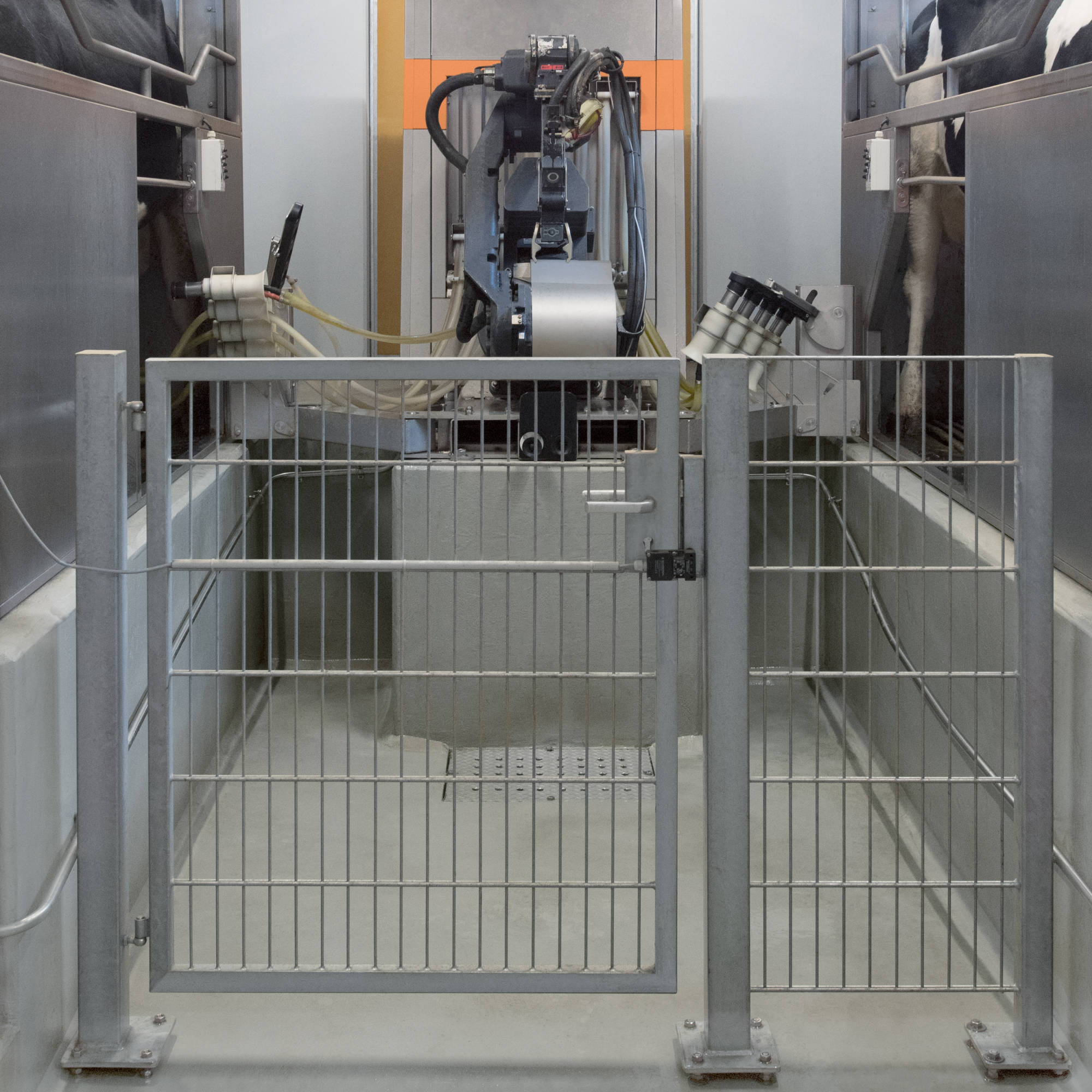 Chemoboden Mittermeier - Beschichtungen